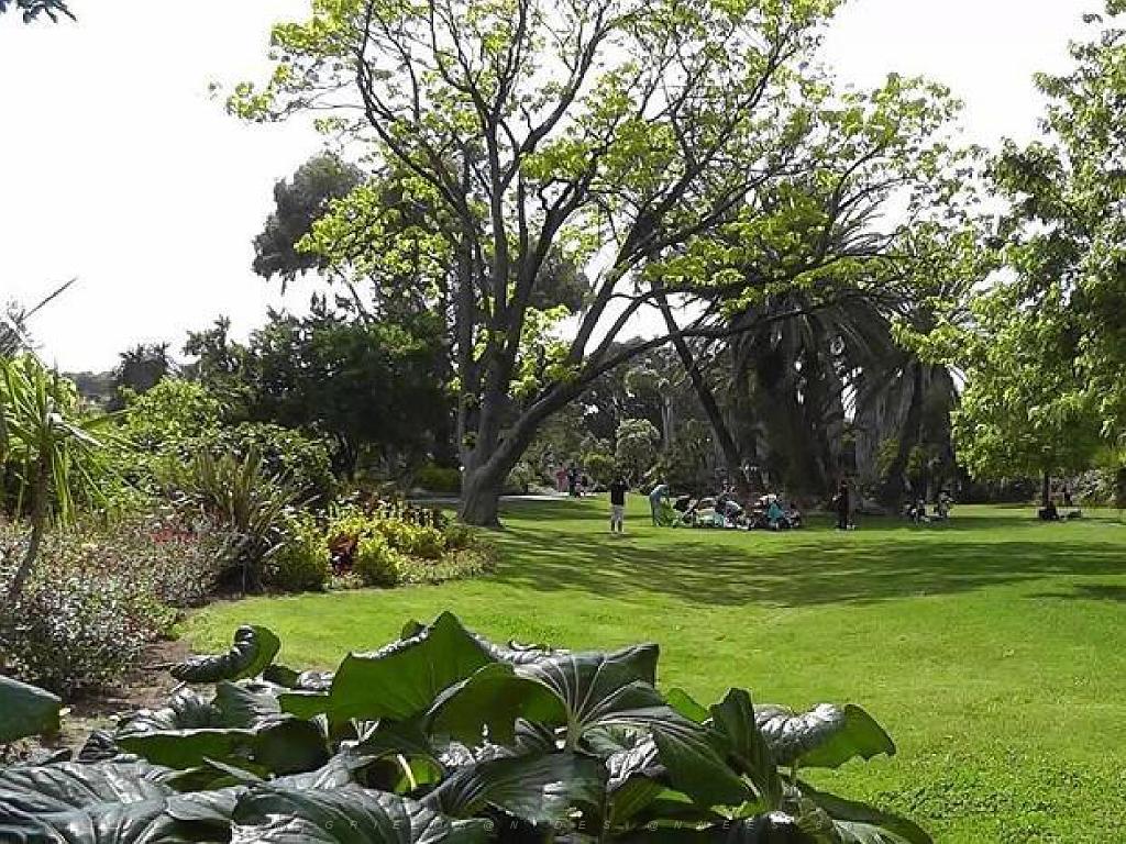 183 D35 PARC OLBIUS RIQUIER A HYERES_000047.jpg